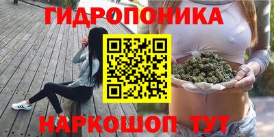 альфа пвп Краснодар