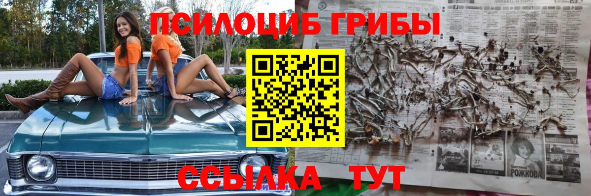Псилоцибиновые грибы MAGIC MUSHROOMS Кирово-Чепецк